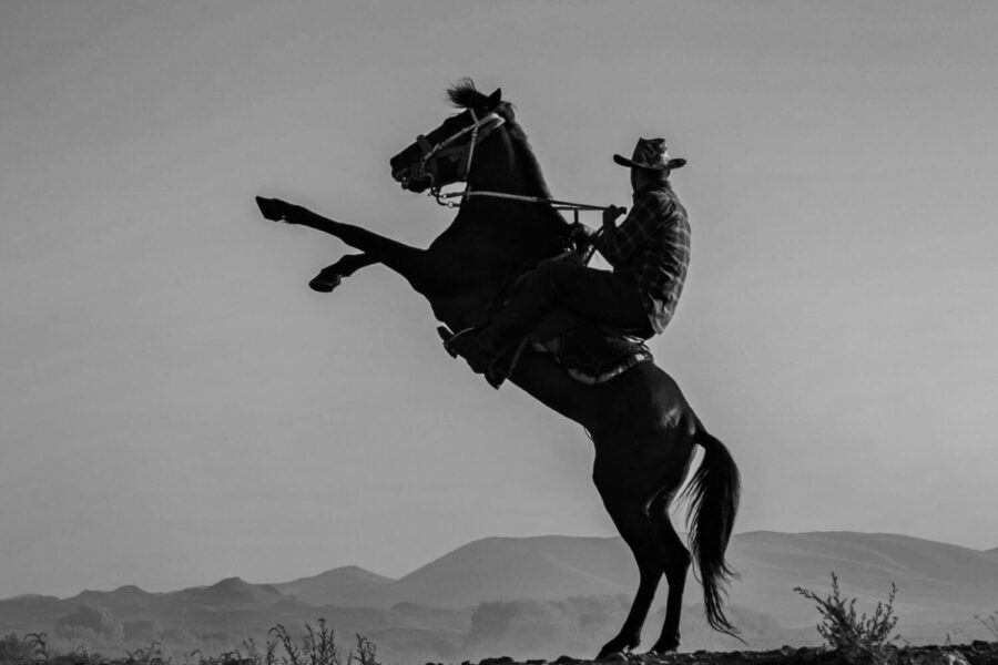 starting a lifestyle brand with a western horseman