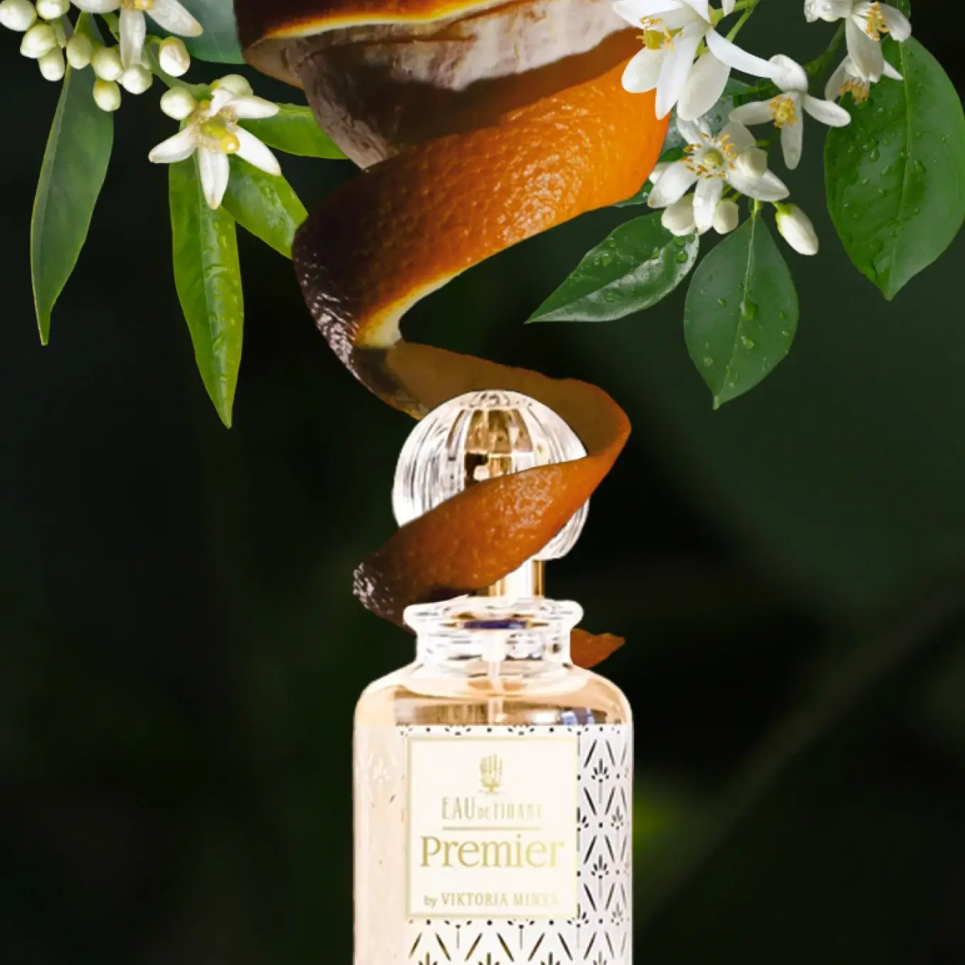 Eau de Tihany creative