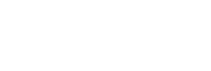 Blog 13 Longevity Magazin logo